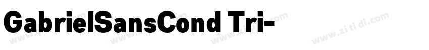 GabrielSansCond Tri字体转换